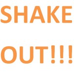 Shake out in Zonne-energie land